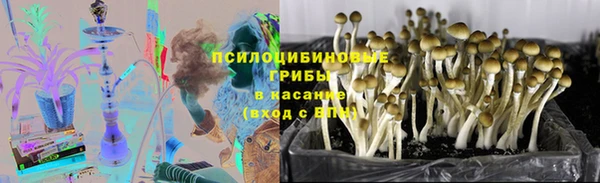 гашик Горняк