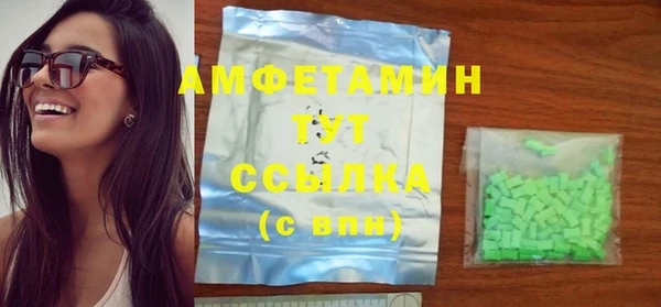 гашик Горняк