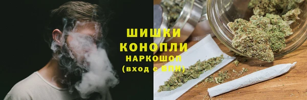 гашик Горняк