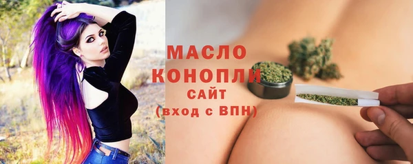 гашик Горняк