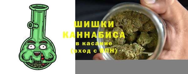 гашик Горняк