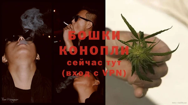 гашик Горняк