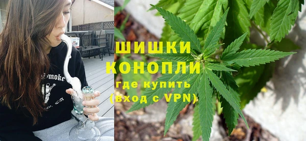 гашик Горняк