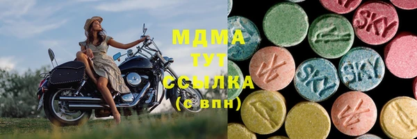 гашик Горняк